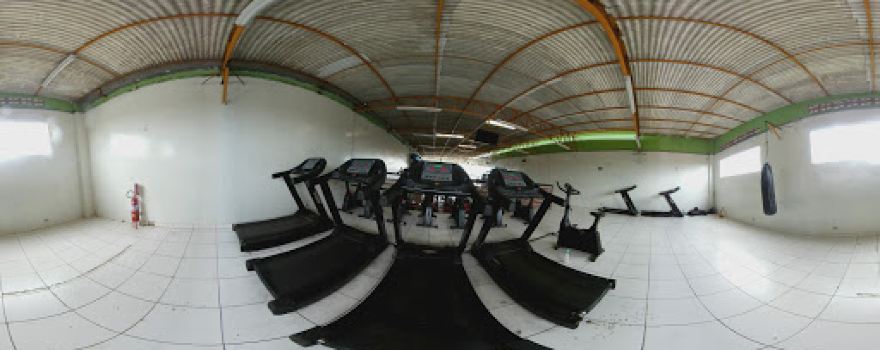 ACADEMIA G FENIX