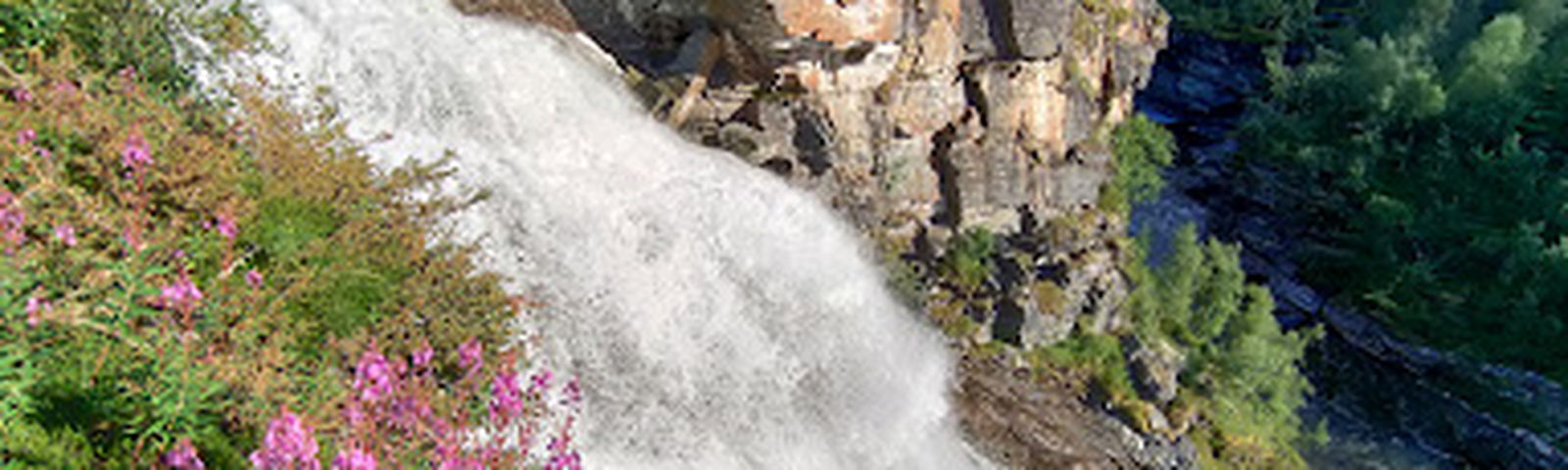 SkibotnWi-Fi & SIM cards