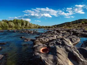 Varbitsa