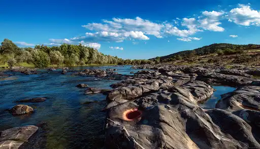 Varbitsa