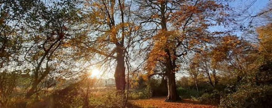 Les Jardins Agricoles du Colmoulin