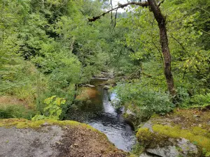 sentier decouverte, cascade des jarrauds