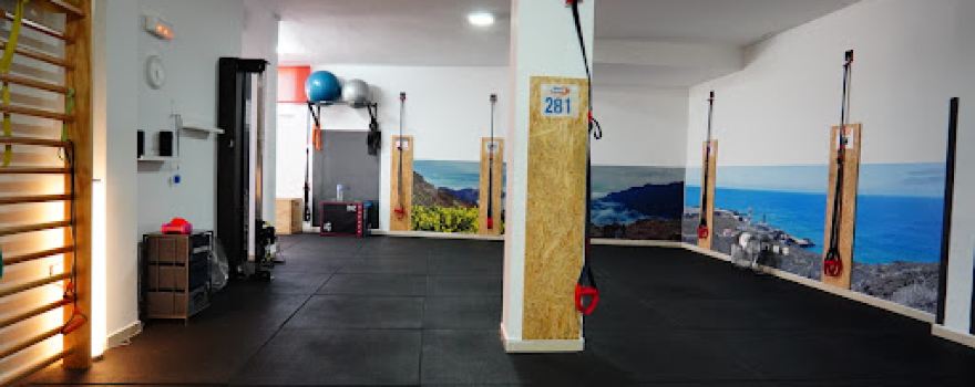 Wellness Studio Entrenamiento y Fisioterapia