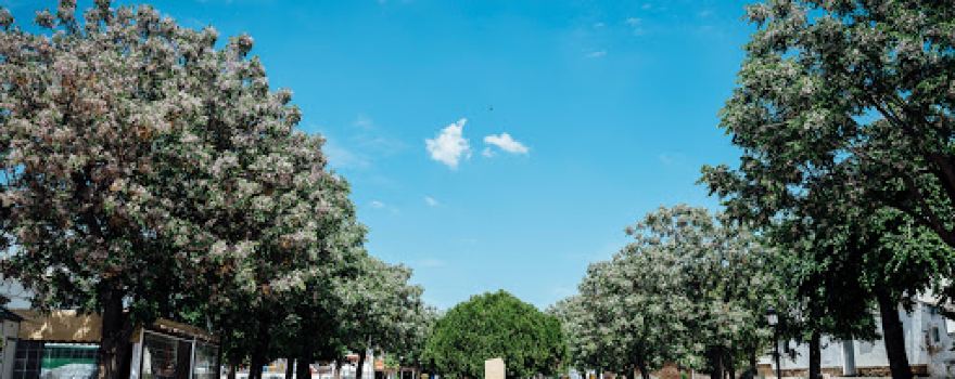 Park of Andalusia