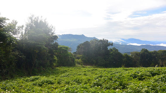 Entrance To Volcan Baru Trail - End Of Paved Road