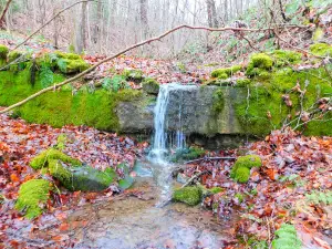Buttermilk Falls
