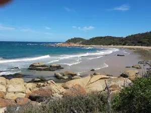 Lind National Park