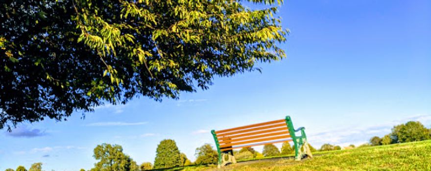 Uplands Park