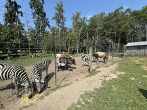 WorkHorse Farm Rescue & Exotics
