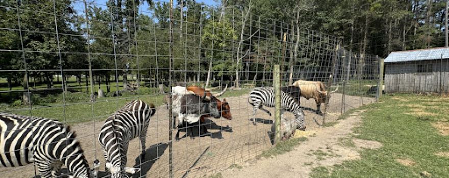 WorkHorse Farm Rescue & Exotics