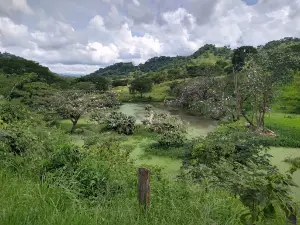 Garcero