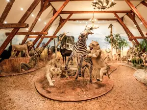 Hunor Hunting Exhibition
