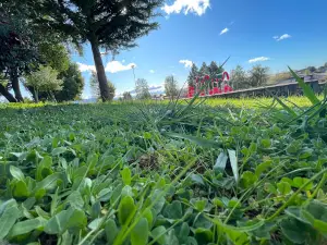 Santa Lucía Park