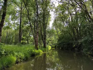 Camping Le Lidon | Camping Marais Poitevin