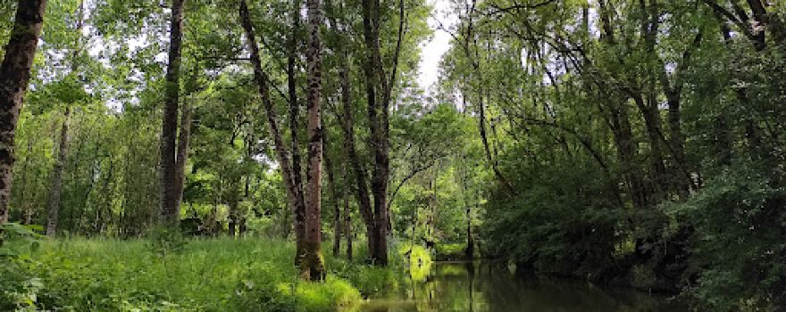 Camping Le Lidon | Camping Marais Poitevin