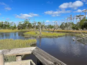 Theodore Roosevelt State Natural Area Dedicated Nature Preserve