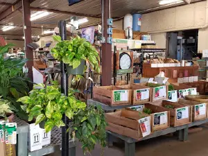 Black's Seed Store
