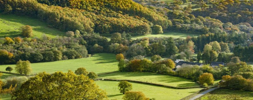 Dolaucothi Caravan and Motorhome Park