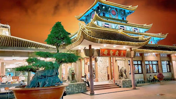 Lady Temple at Sam Mountain