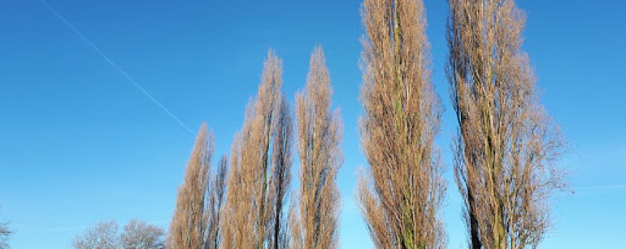 Barony Park