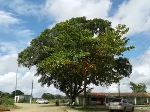 Praça do Bom Gosto