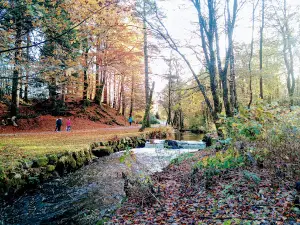 Sandved Park