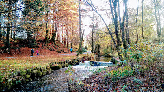 Sandved Park