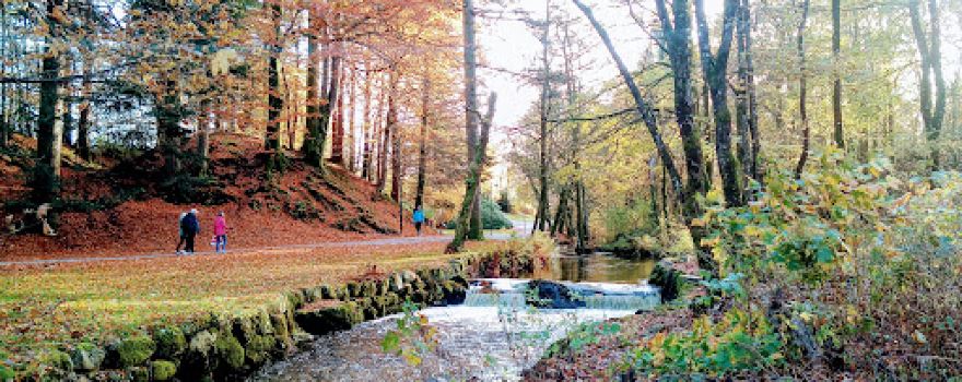 Sandved Park