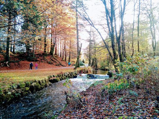 Sandved Park