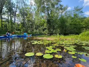 Lac Courte Oreilles