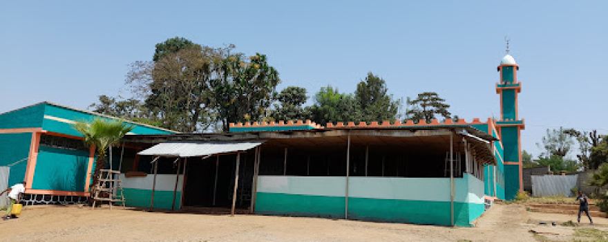 Dembi Dolo Mosque