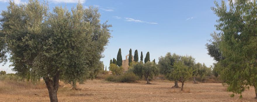 Ermita de Sant Joan