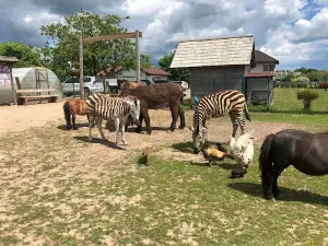 Dundaga Exotic Animal Zoo