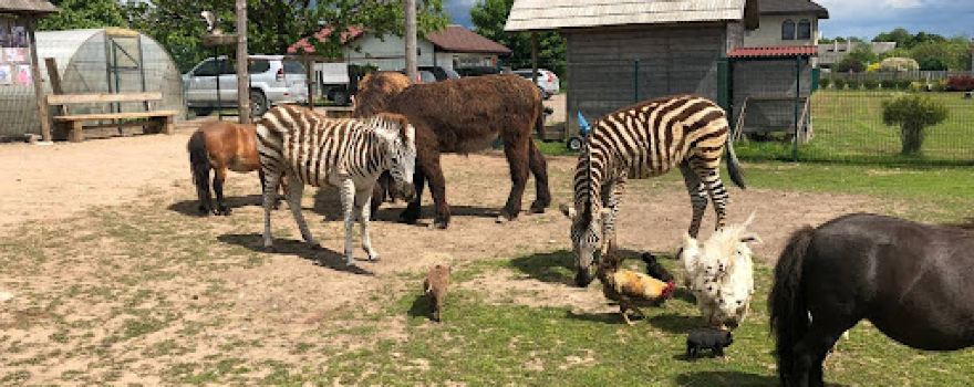 Dundaga Exotic Animal Zoo