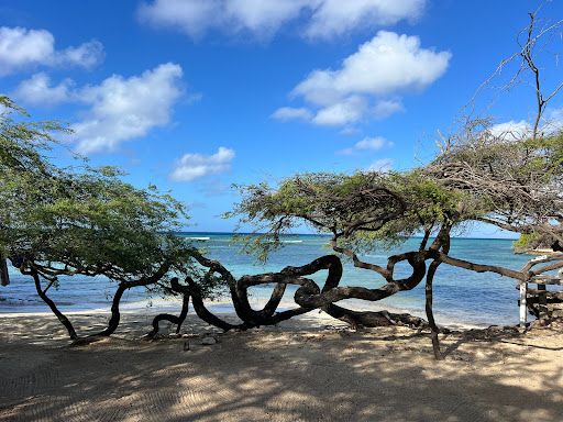 Savaneta Beach