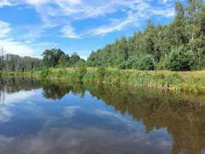 Rezerwat przyrody "Wiączyń"