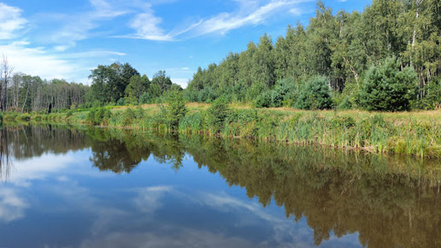 Rezerwat przyrody "Wiączyń"