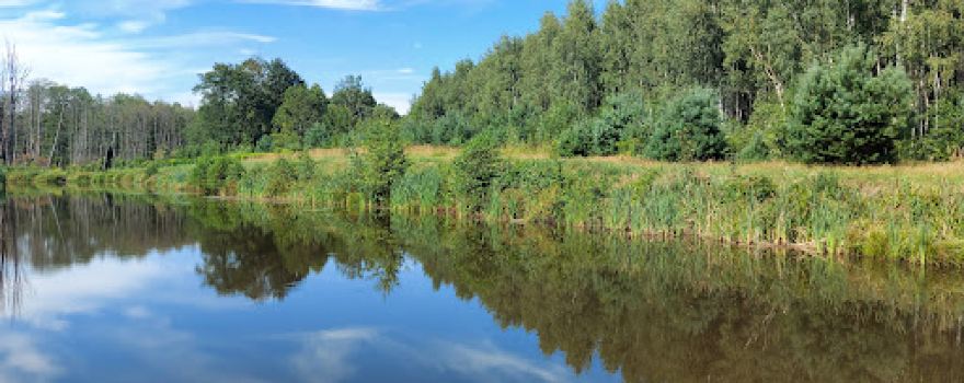 Rezerwat przyrody "Wiączyń"