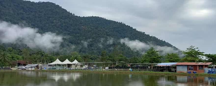 Ulu Bendul Fish Valley