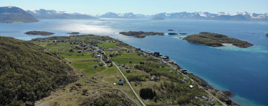 Grytøya