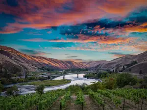 Rivaura Estate Vineyard and Winery