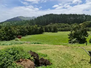 Tau Henare Marae