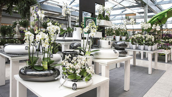 Dehner Garten-Center