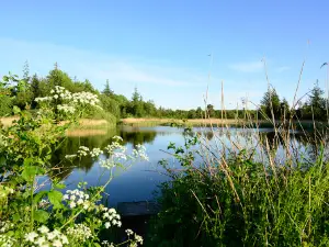 Bordelumer Heide