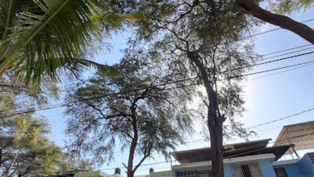 Abelardo Quiñones Park