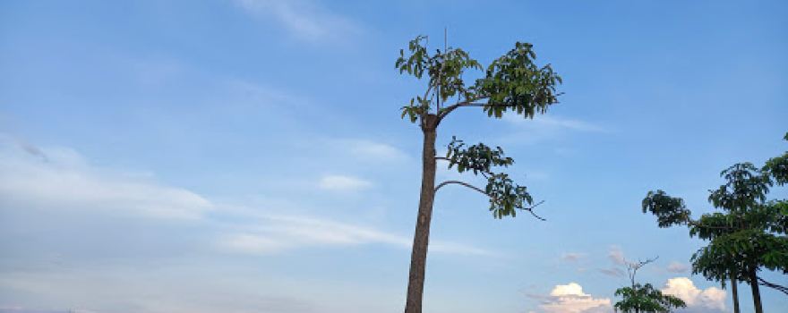 Wisata Seribu Batu Tulang Bawang Barat