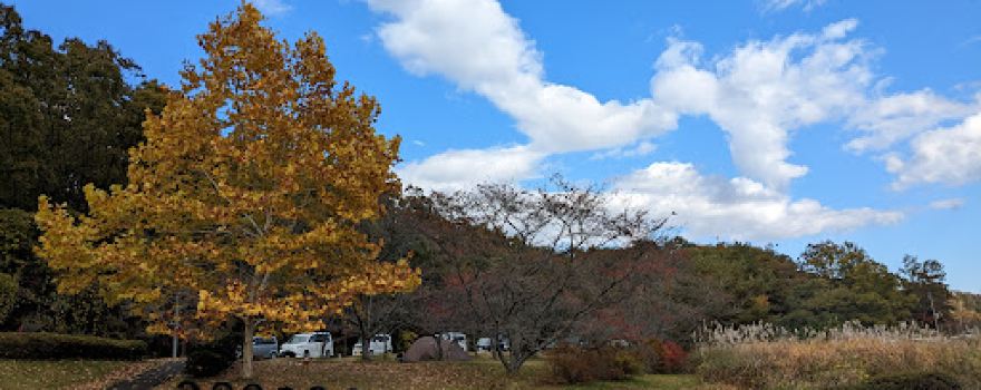 Takkomoritokohan Natural Park Camping Ground