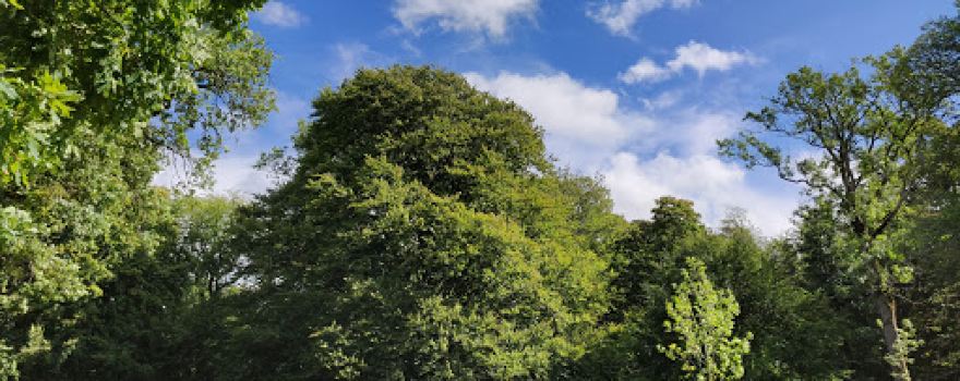 Billdals park