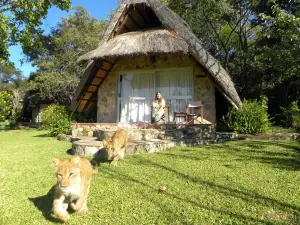 Mwanga Lodge, Bally Vaughan Game Park and Sanctuary