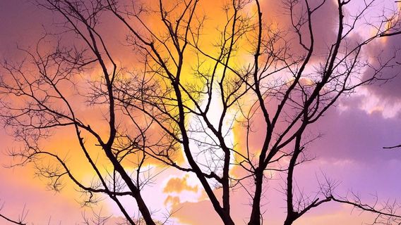 liu deng da jun zhi hui bu yi zhi